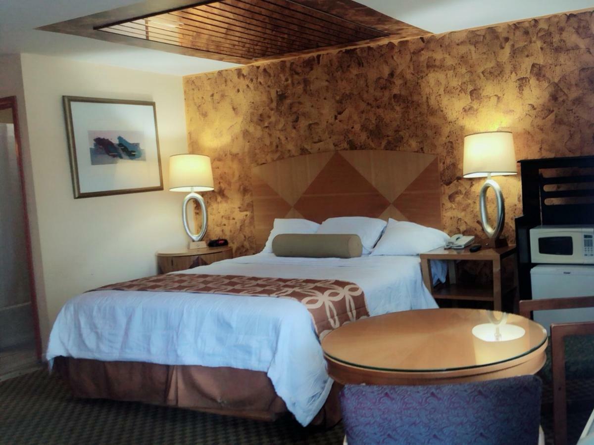 Sunflower Inn Galloway Bagian luar foto